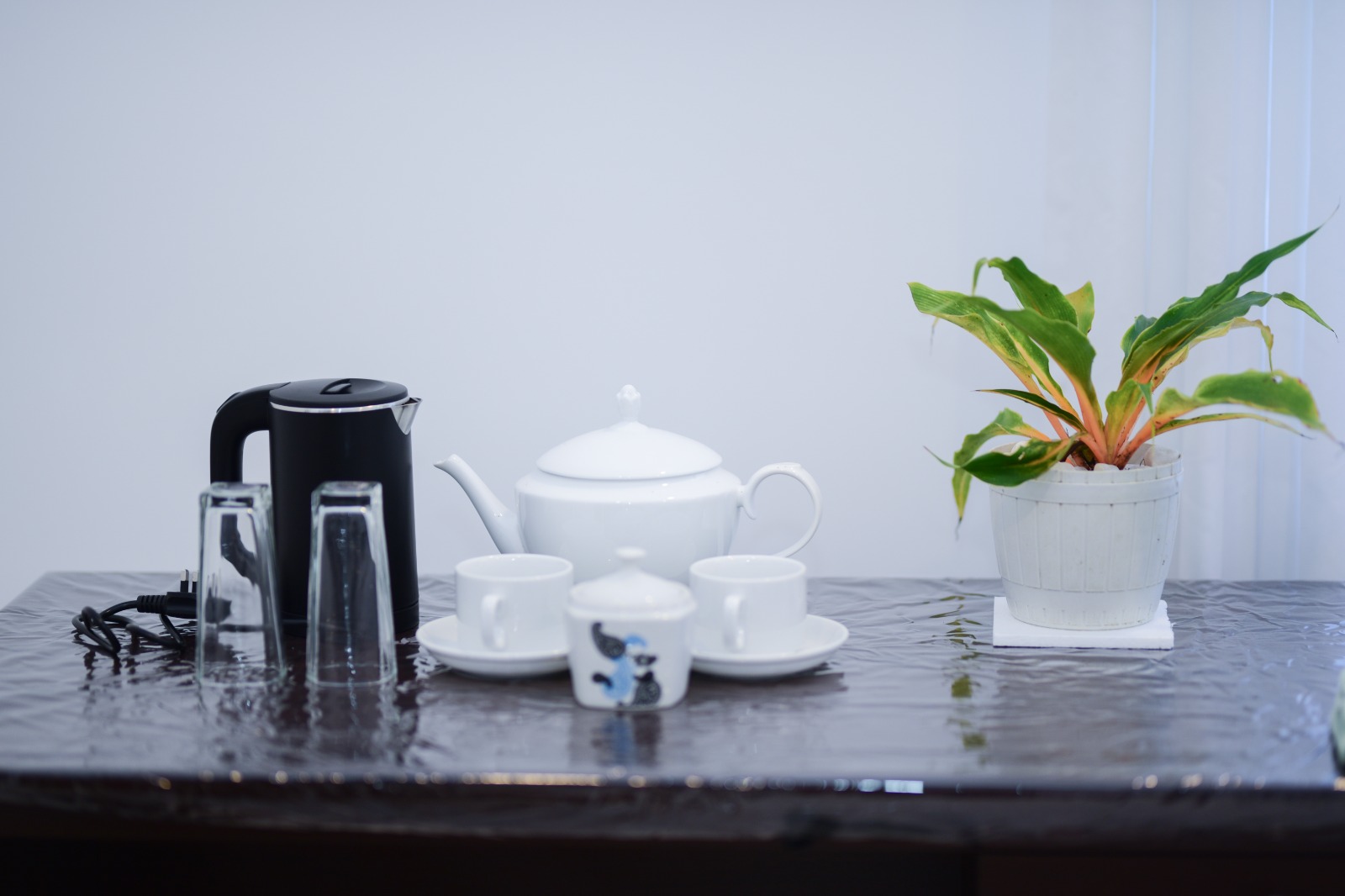 In-room tea set with a white teapot, cups, an electric kettle, glasses and a potted plant